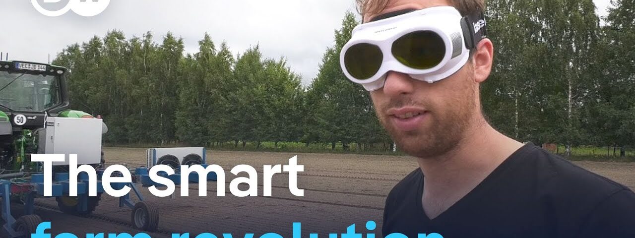 The smart farm revolution: AI meets agriculture