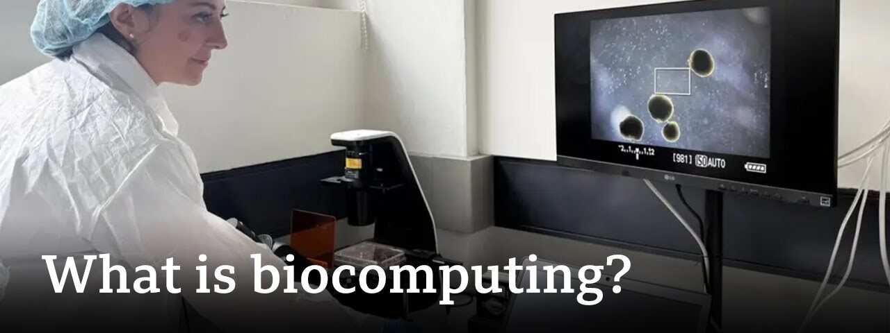 What is Biocomputing?