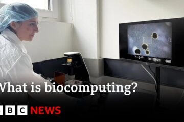 What is Biocomputing?