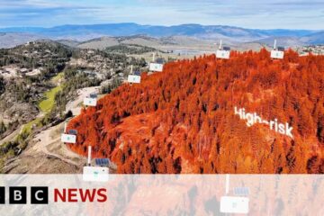 Can New Technology help detect wildfires? Can New Technology help detect wildfires?